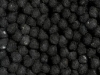 Talna preproga Stone - Carbone
